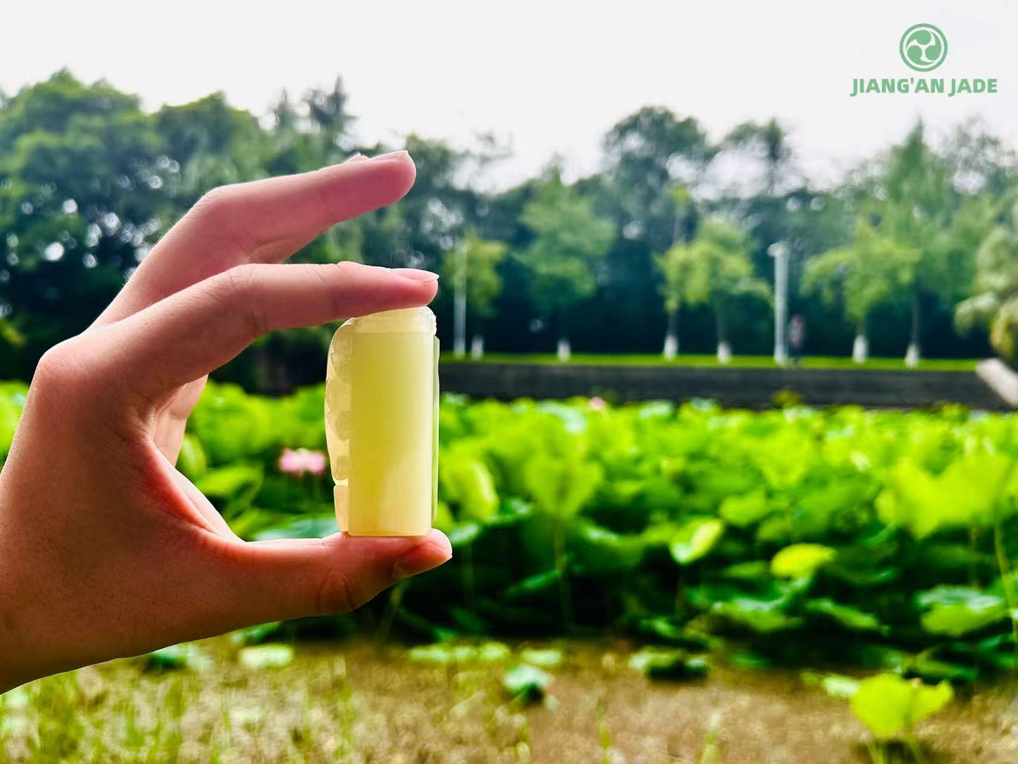 Mountain stream Chi-loong jade seal